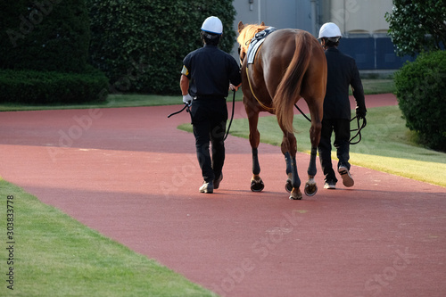 the scene of horse race in Japan