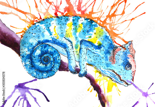 Fototapeta Naklejka Na Ścianę i Meble -  drawing watercolor chameleon multicolored illustration spots