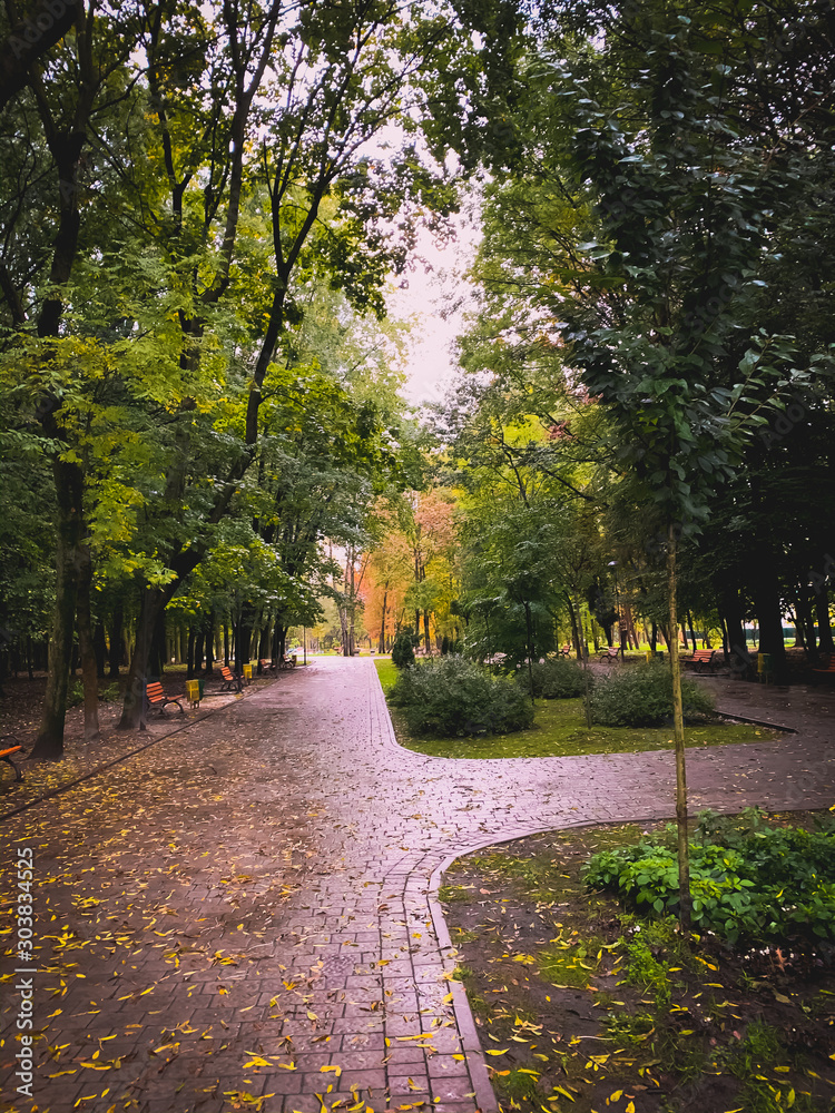 This is Sknylivsky Park, near the Airport in the City of Lviv, this is the beginning of Autumn .. It can be seen in contrast. Photo on iPhone XS Max