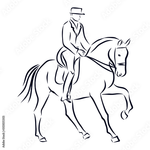 dressage horses, show jumping, vector sketch