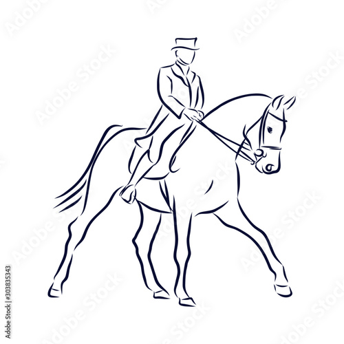 dressage horses, show jumping, vector sketch