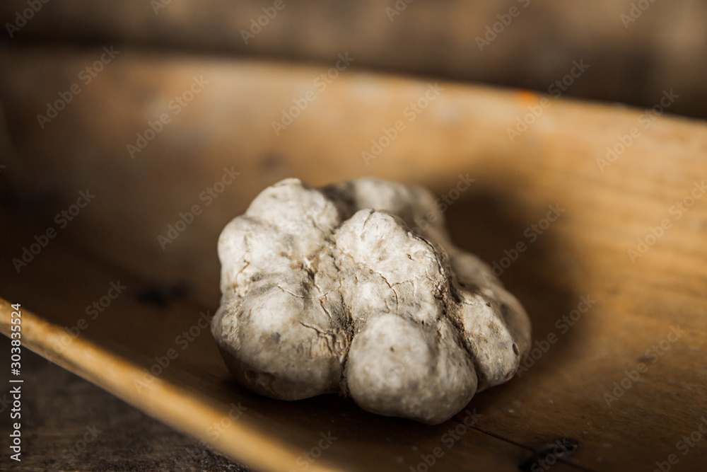 Fototapeta premium White Truffle on wood background