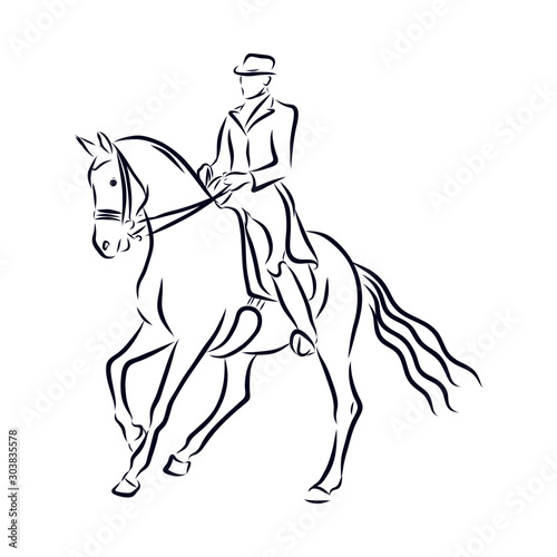 Fototapeta Naklejka Na Ścianę i Meble -  dressage horses, show jumping, vector sketch