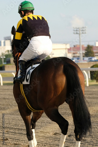 the scene of horse race in Japan