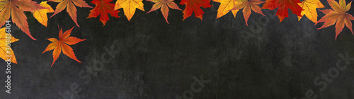 autumn – frame of colorful leaves isolated on a black concrete texture – background panorama banner long