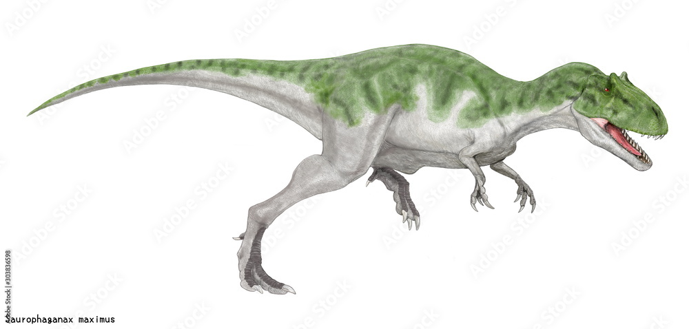 獲物を狙うサウロファガナクスのイラスト ジュラ紀における最大級の肉食恐竜 白亜紀のティラノサウルス に匹敵する大きさである アロサウルス科に属するが エパンテリアスに比して残された化石の血道弓の形状により アロサウルスそのものと別種であるとされる 体長は