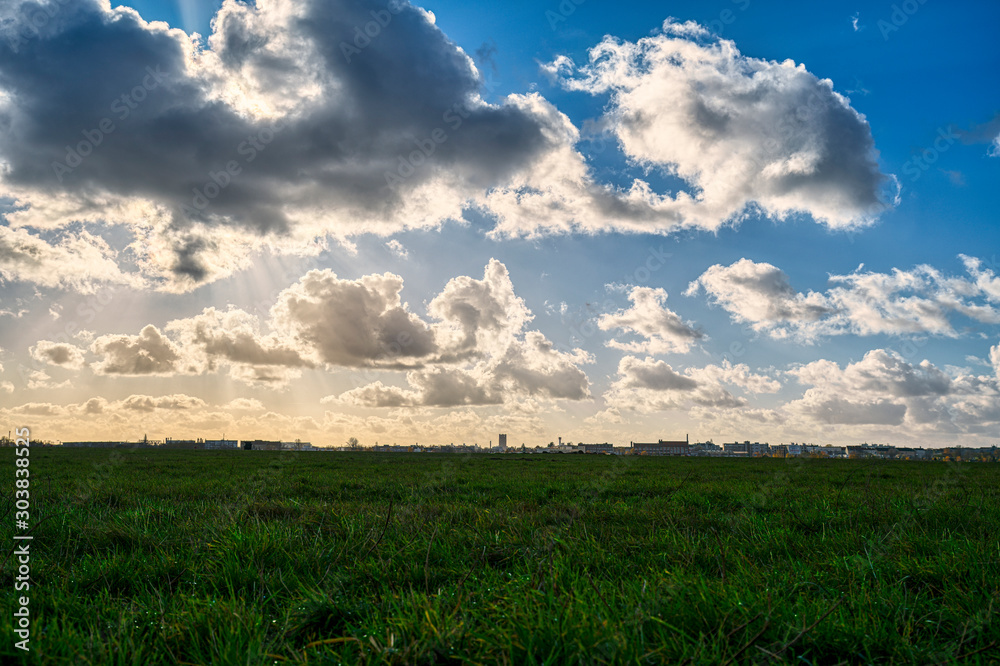 meadow with skyline and cloudscape for backgrounds meadow with skyline and cloudscape for backgrounds