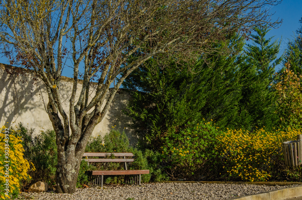 The bench is under a tree in the park. Autumn. The bench is under a tree in the park. Autumn.