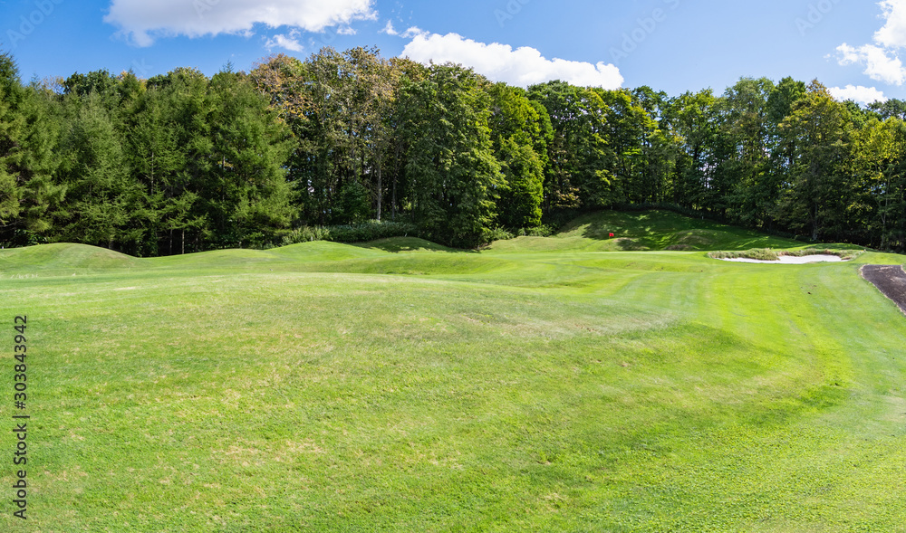 Naklejka premium Golf Course with beautiful green field. Golf course with a rich green turf beautiful scenery.