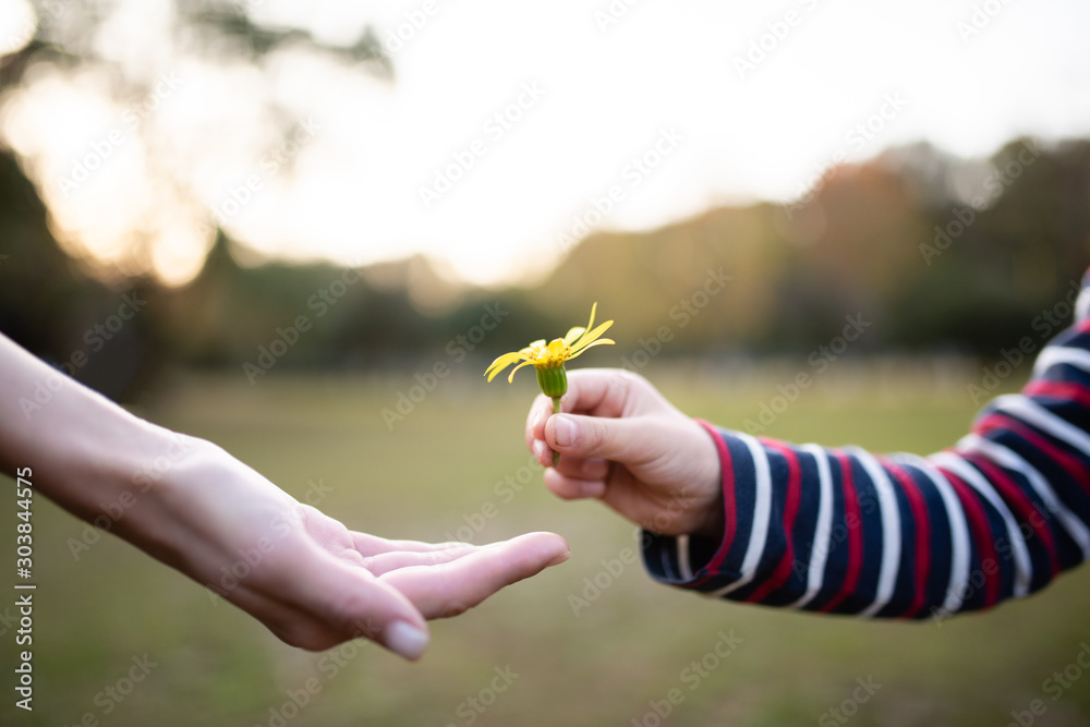 Φωτογραφία 黄色い花を手渡す親子の手