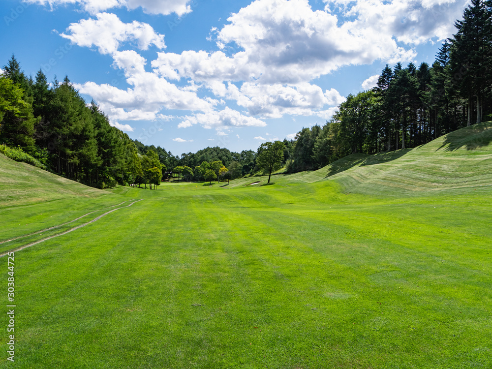 Golf Course with beautiful green field. Golf course with a rich green turf beautiful scenery. Golf Course with beautiful green field. Golf course with a rich green turf beautiful scenery.