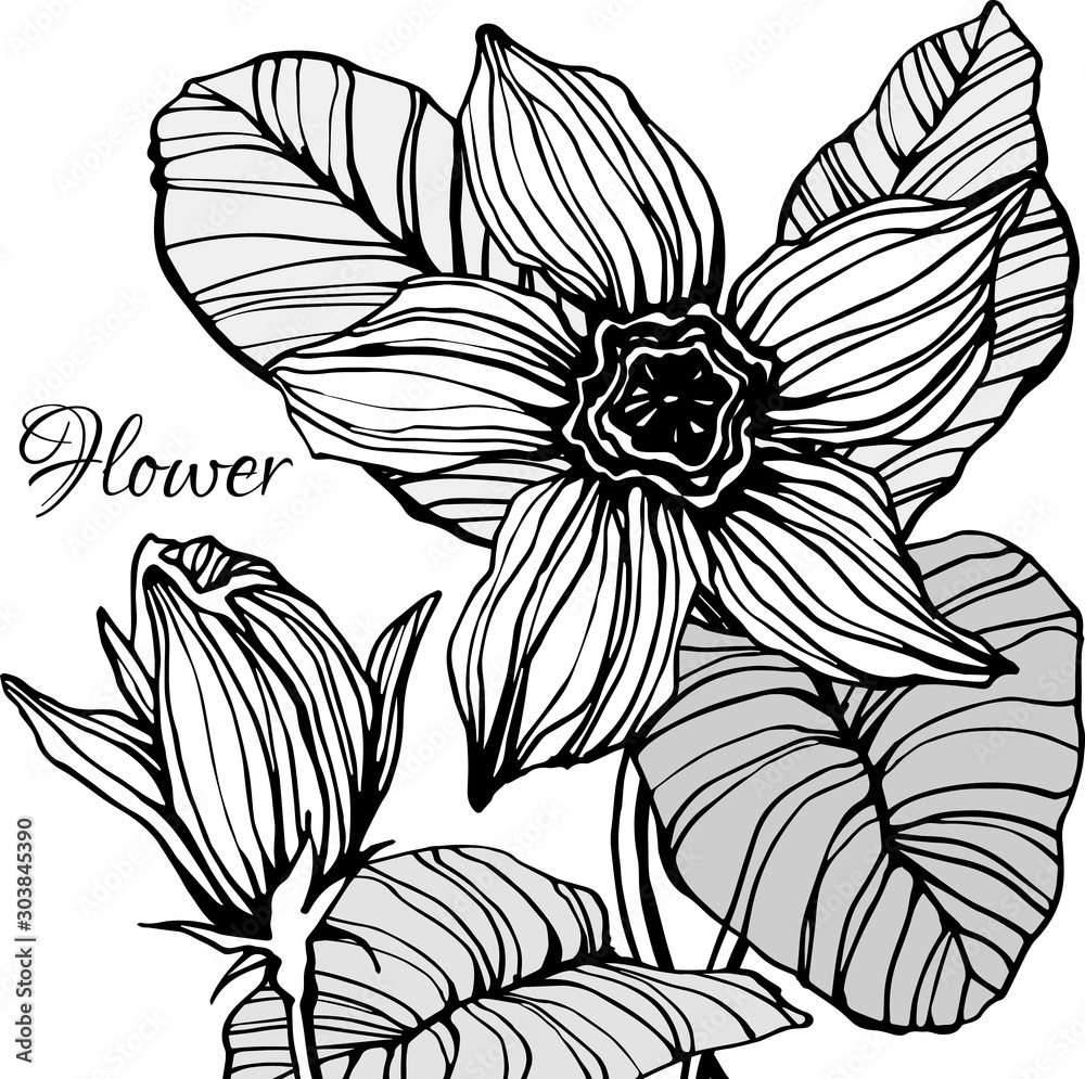 Fototapeta Decorative sketch floral card. Hand drawn botanical Illustration. Design element. Vector illustration.