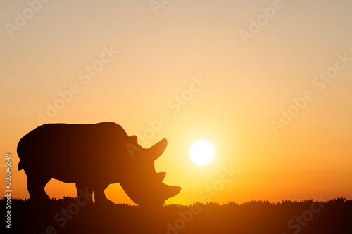 silhouette rhino on sunset background.