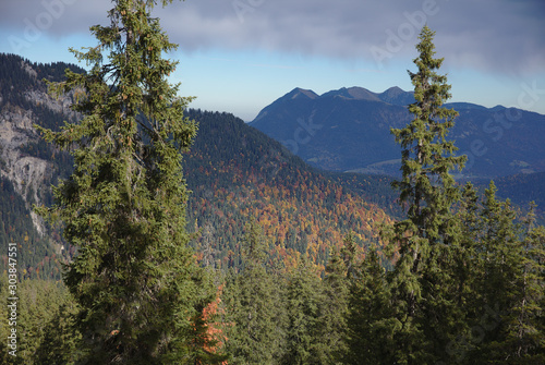 Cuadro en lienzo NB__9792 Mountain range with forest in autumn
