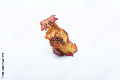 Not a fresh Apple core. Leftovers from a bitten Apple. A darkened Apple stub on a white background. photo