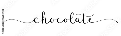 CHOCOLATE black vector brush calligraphy banner with swashes