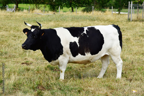 Jouy le Moutier; France - september 4 2019 : Ecancourt Farm photo