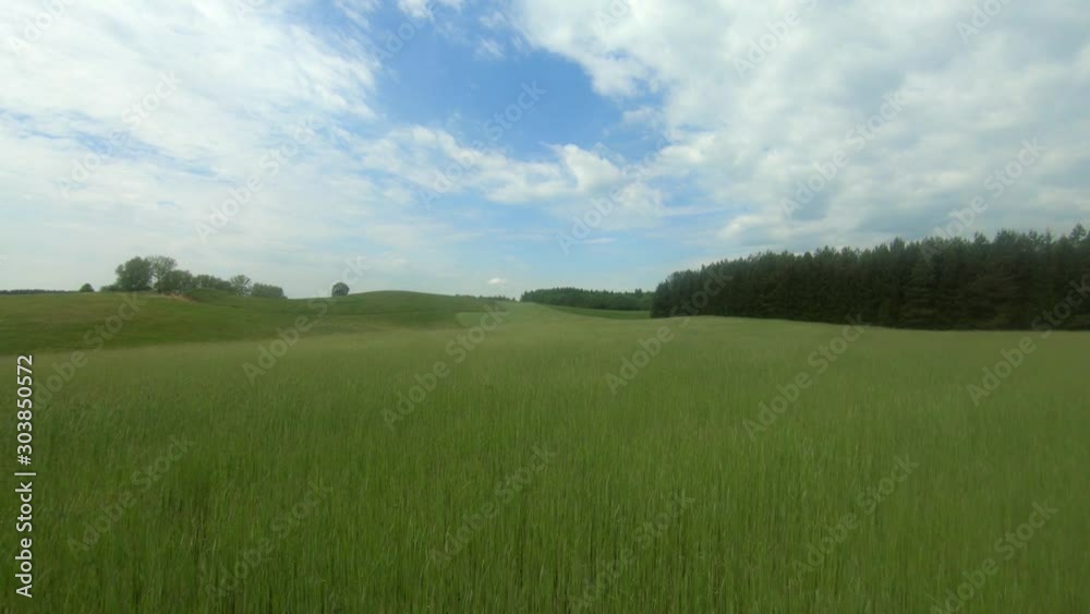 A low flyover of a green wheat field on a partially cloudy day. A low flyover of a green wheat field on a partially cloudy day.