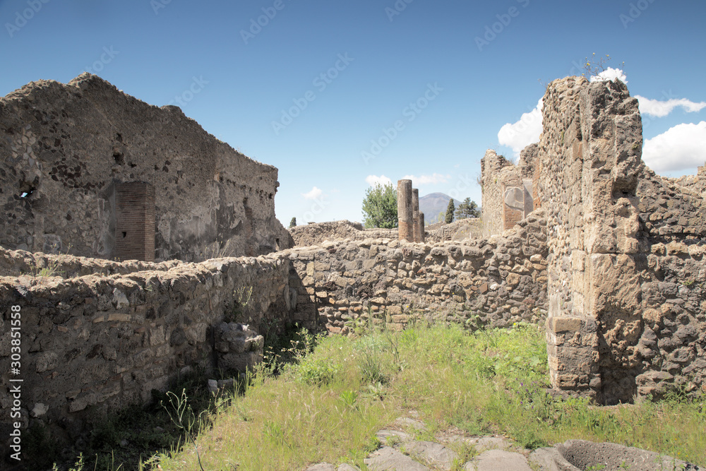 unearthed city of pompeii