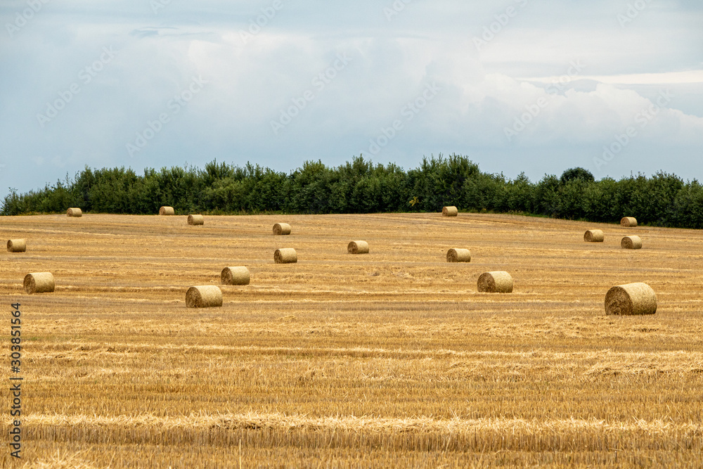 Fototapeta premium A rural scene with straw bales on a summer day with a cloudy blue sky and green bushes in Latvia