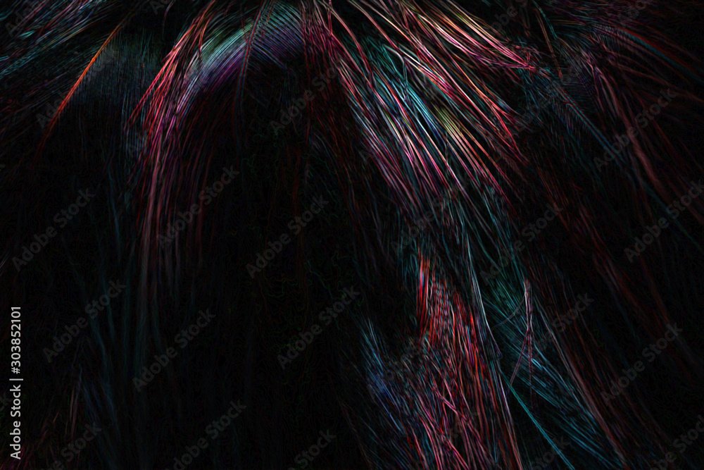 Abstract art of beautiful paint of feather for texture background and design,Colorful and fancy colored