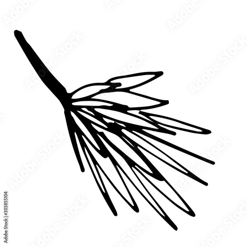 doodle illustration of a tree branch isolated on white vackground