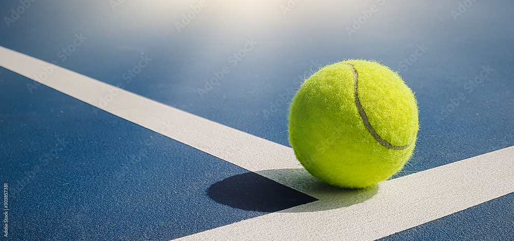 Εκτύπωση καμβά Close-up shots of tennis balls in tennis courts With a mesh as a blurred backgro