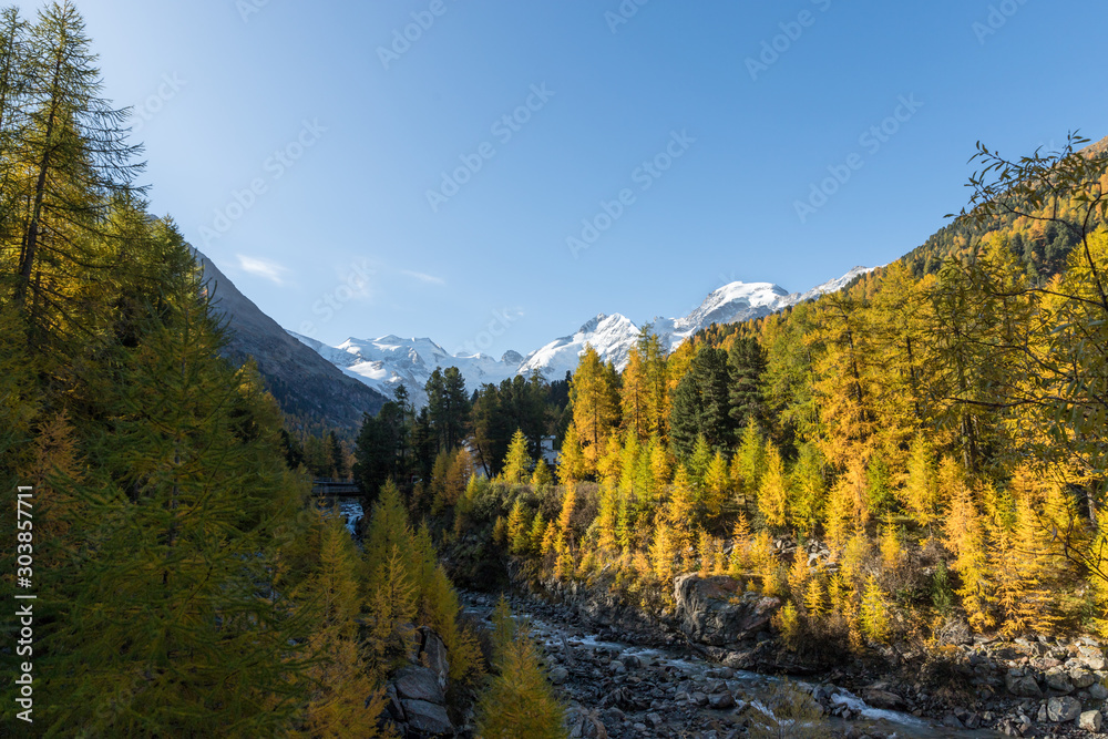 Morteratsch station with view to Morteratsch glacier valley in autumn with golden larch forest and blue sky