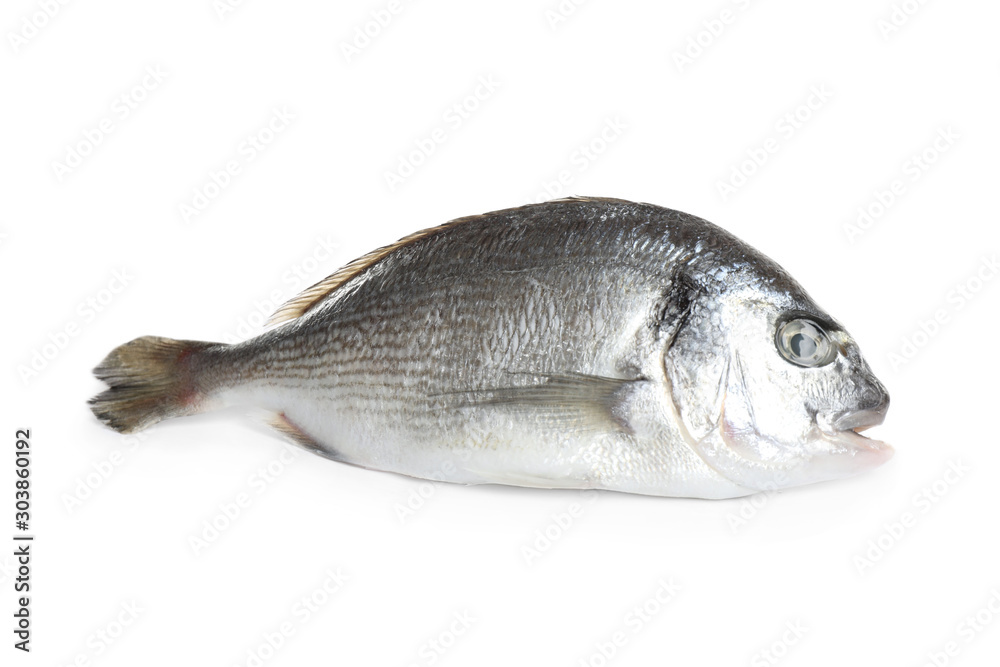 Fototapeta premium Fresh raw dorada fish isolated on white