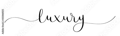 LUXURY black vector brush calligraphy banner with swashes