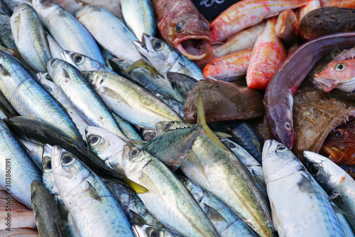 Fresh fish for making bouillabaisse soup for sale at a fish market on the Vieux Port in Marseille, France