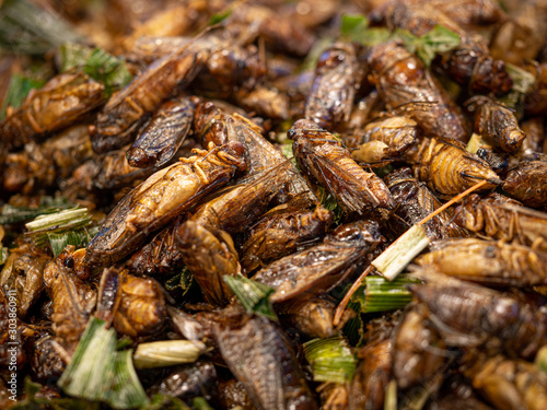 Fried insects, Bugs fried on Street food in thailand.