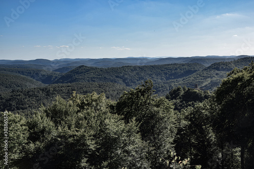 ausblick über waldlandschaft