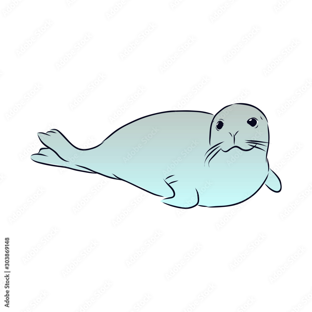 vector illustration of seal vector illustration of seal