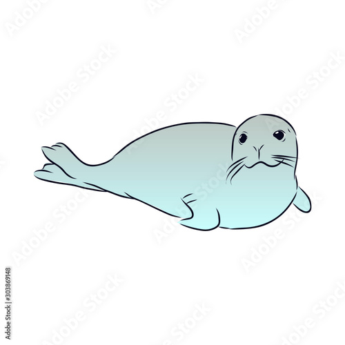 vector illustration of seal 