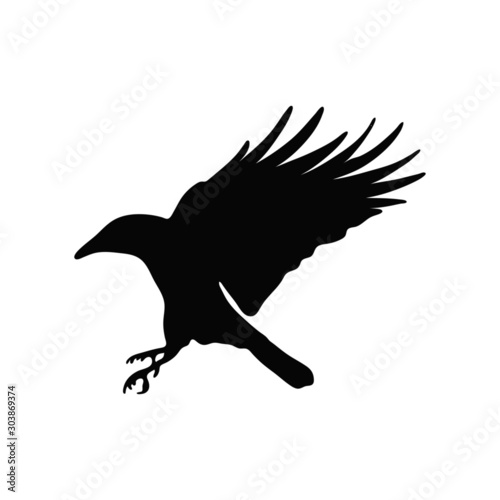 silhouette of crow 