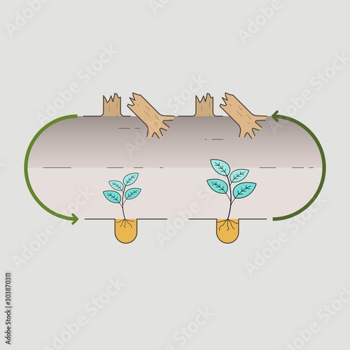 Reforestation infographic design. Vector Illustration outline flat design style.