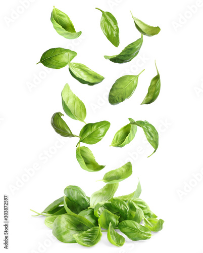 Fresh green basil leaves falling on white background