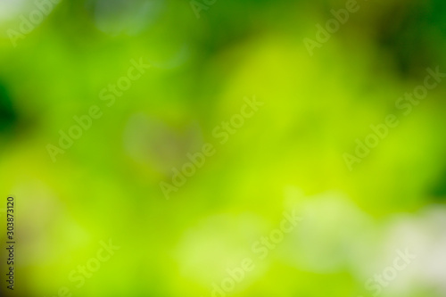 abstract blur background.green light bokeh nature background,Soft focus