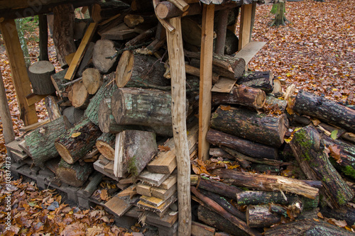 Fototapeta Naklejka Na Ścianę i Meble -  Vintage woodpile-a cage of wooden pegs, beams and roof over them inside in several levels stacked woodpile of sawn boards, stumps, branches and logs, the ground is strewn with yellow autumn leaves.