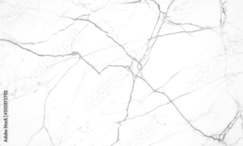 white marble background with black veins.