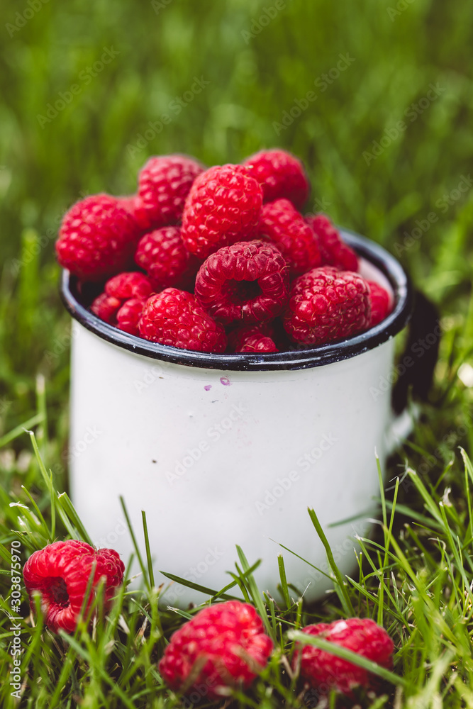 Raspberries in a cup on grass. Fall mood. Summer time. Copy space Raspberries in a cup on grass. Fall mood. Summer time. Copy space