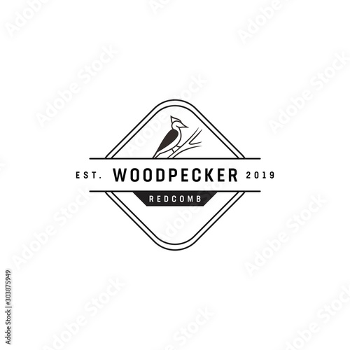 Woodpecker vintage logo design concept