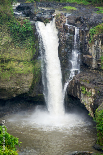 Waterfall in the middle of forest