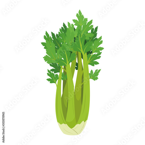 Vector illustration of a funny celery in cartoon style.