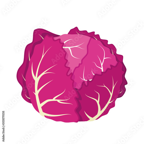 Vector illustration of a funny purple cabbage in cartoon style.
