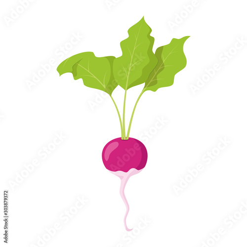 Vector illustration of a funny radish in cartoon style.