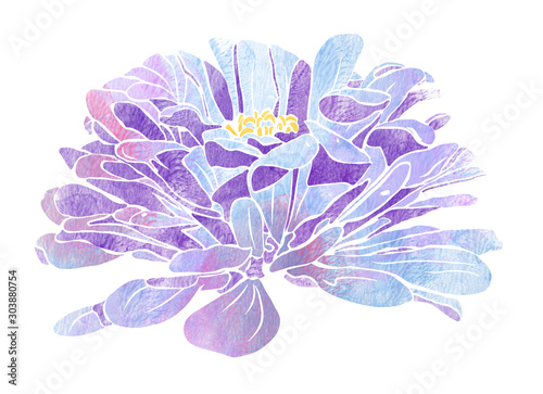 Purple dahlia watercolour
