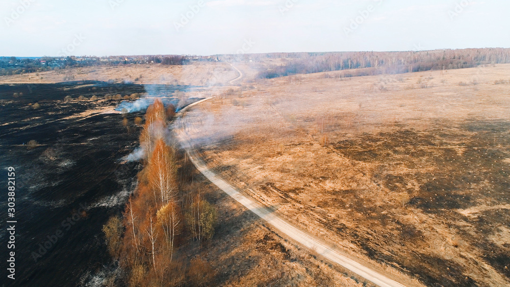 Strong fire in the forest. Fire spreads in a united front, strong smoke from the burning place.