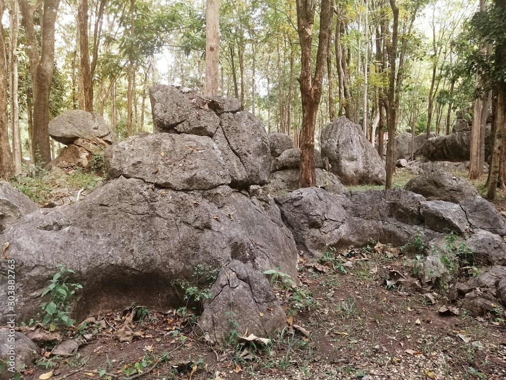 Strange stone in the forest, The limestone and shale are mixed together layers, mainly Triassic age limestone gray type Biomicrite. There is noise and grain caused by the texture of the stone. Strange stone in the forest, The limestone and shale are mixed together layers, mainly Triassic age limestone gray type Biomicrite. There is noise and grain caused by the texture of the stone.